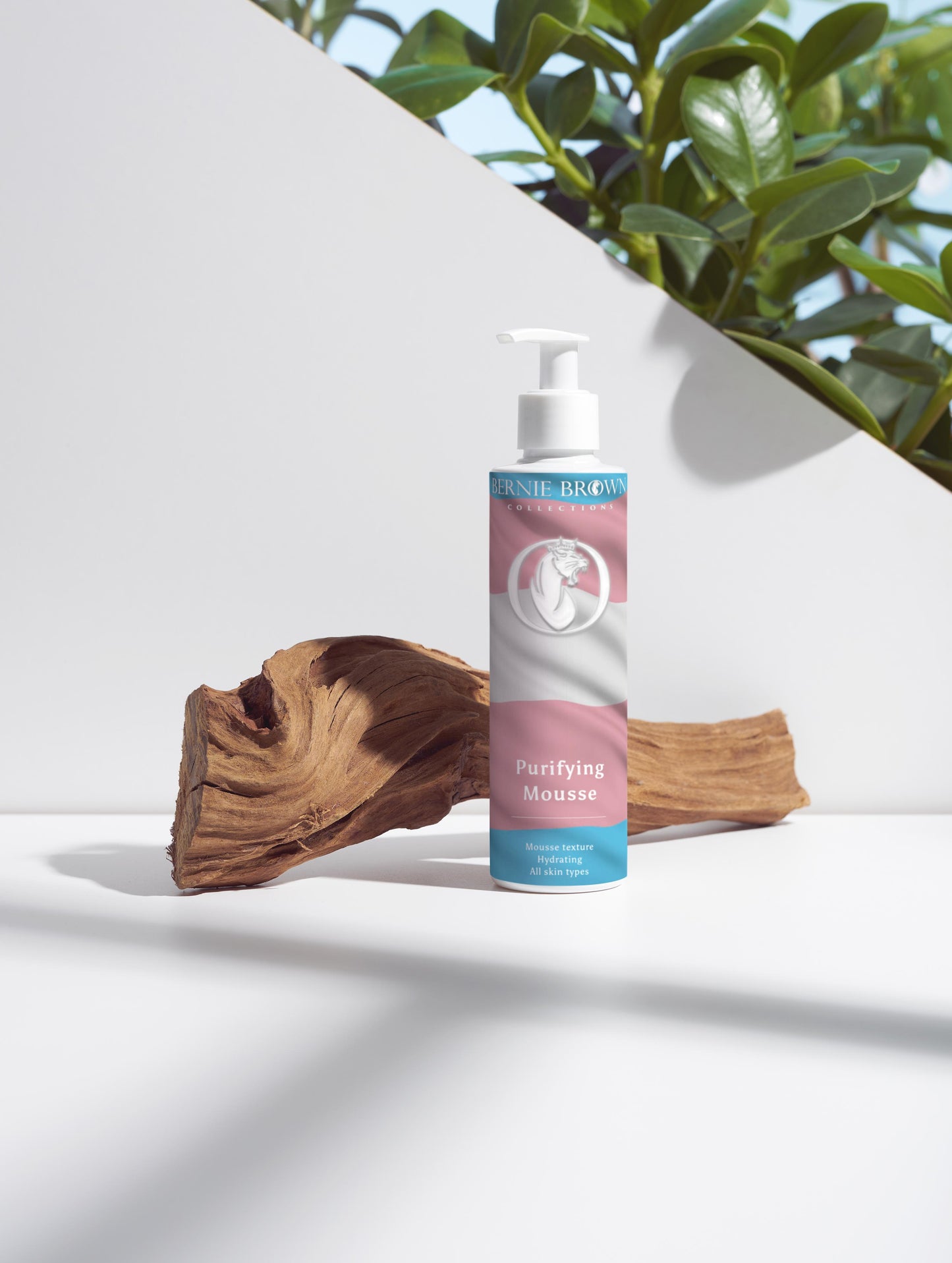 Purifying Mousse